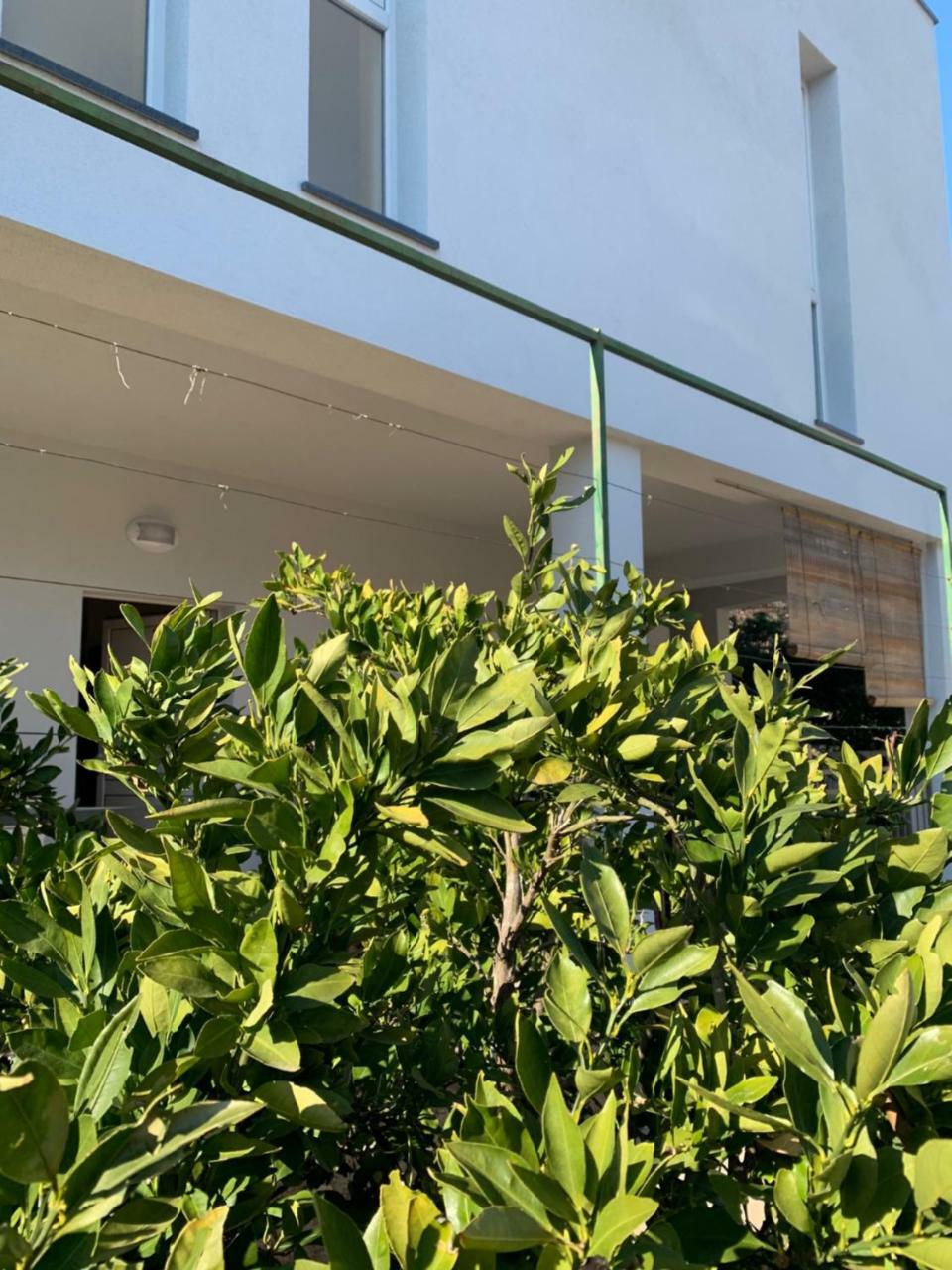 Modern Apartments Day Σίμπενικ Εξωτερικό φωτογραφία